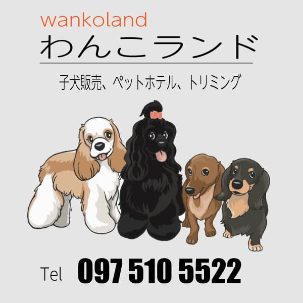 ルシアンのshampoo バナー マンスリーイベント