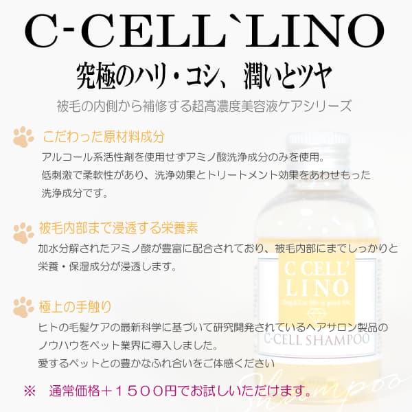 ルシアンのshampoo シセルリノ
