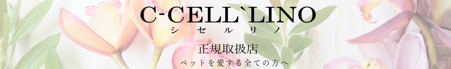 ルシアンのshampoo シセルリノ正規代理店