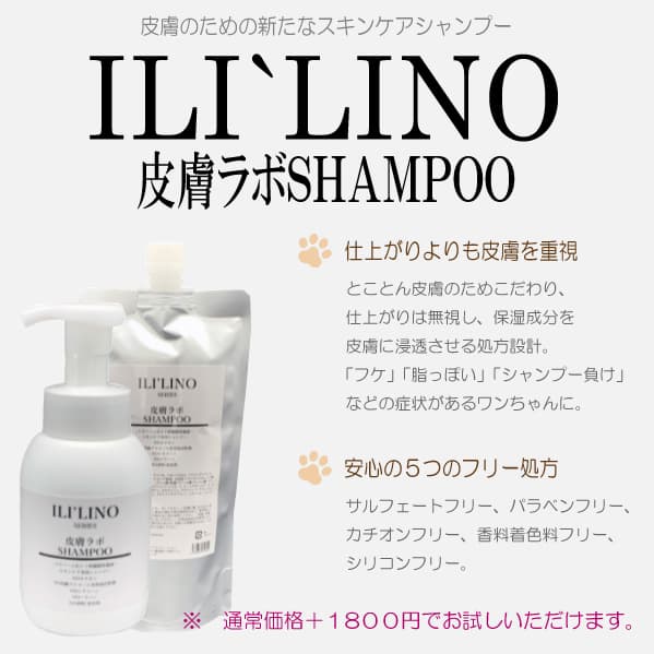 ルシアンのshampoo イリリノ